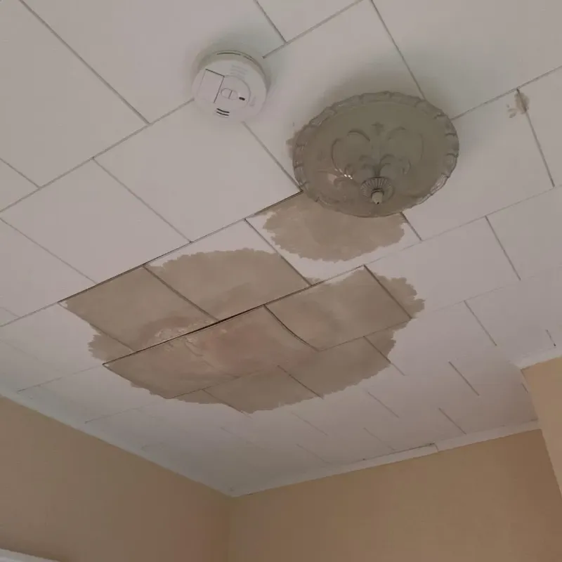 Ceiling Water Damage Repair in Dale City, VA